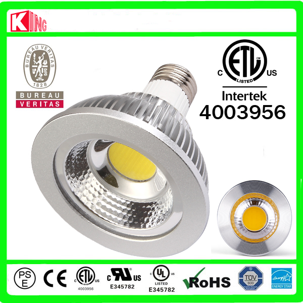 LED Spotlight