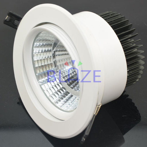 LED DownLighters