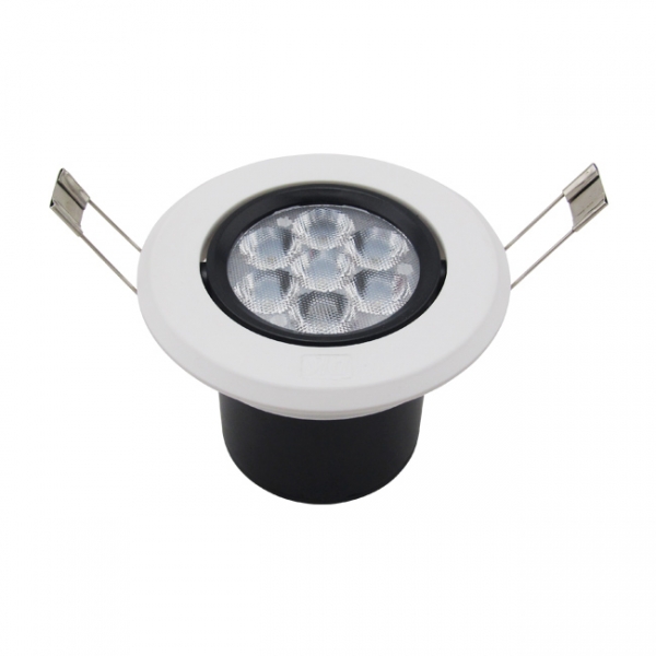 LED DownLighters