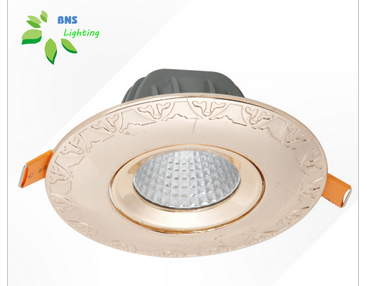 LED DownLighters