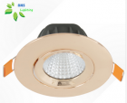 LED DownLighters