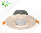 LED DownLighters