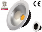 LED DownLighters