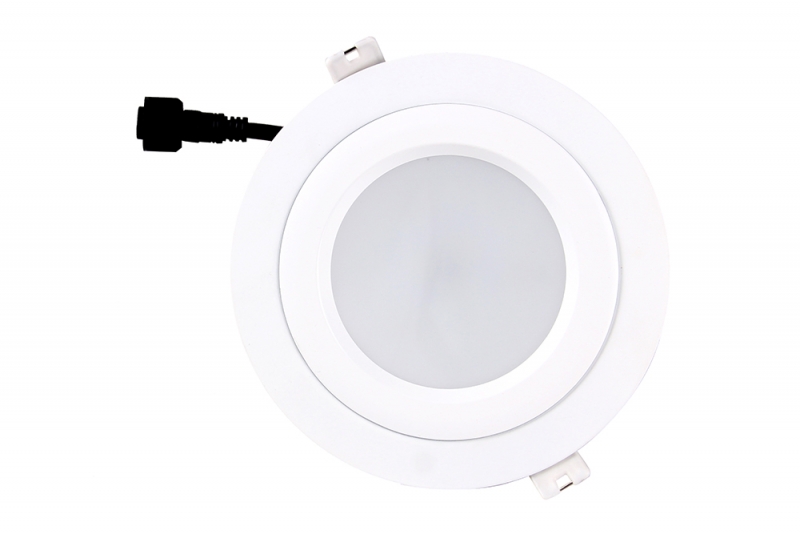 LED DownLighters