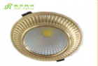 LED DownLighters