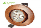 LED DownLighters