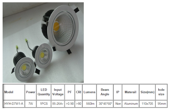 LED DownLighters