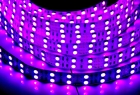 LED Strip Lights