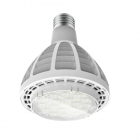 LED Spotlight