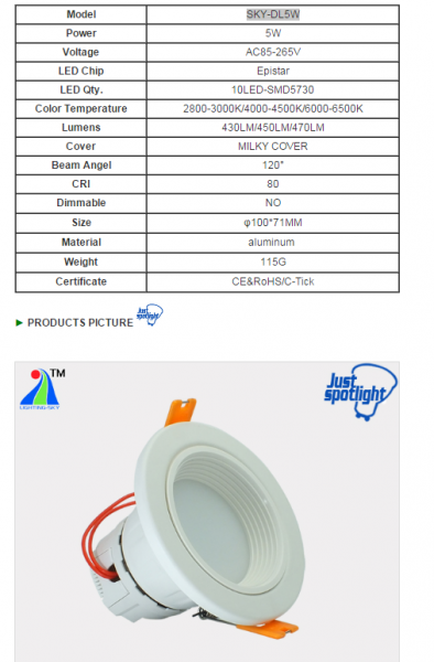 LED DownLighters