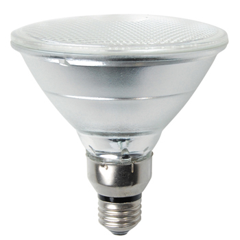 Halogen Bulbs