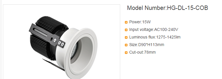 LED DownLighters