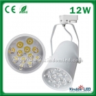 12W Tracking Light