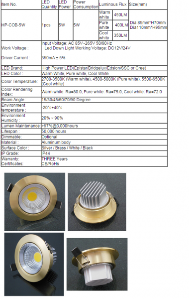 LED DownLighters