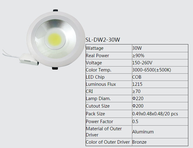 LED DownLighters