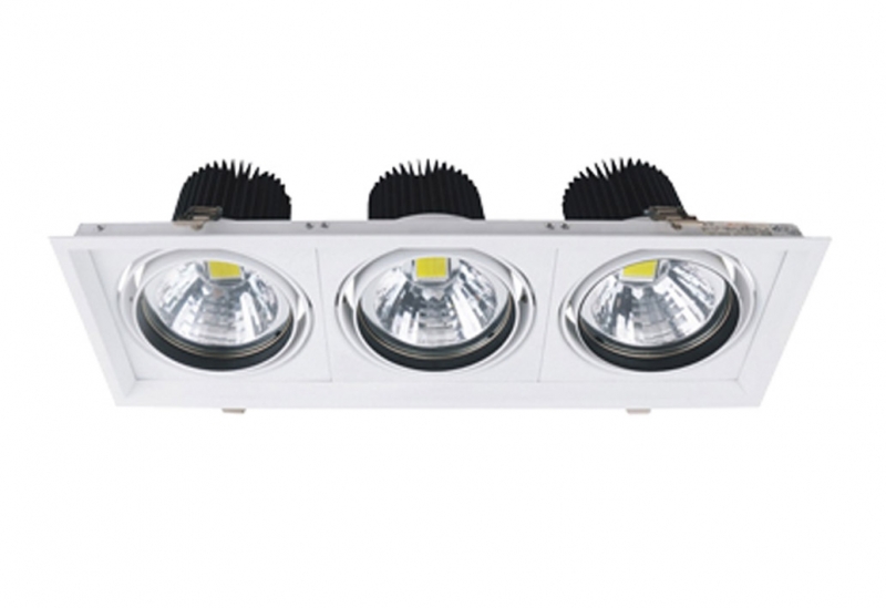 LED DownLighters