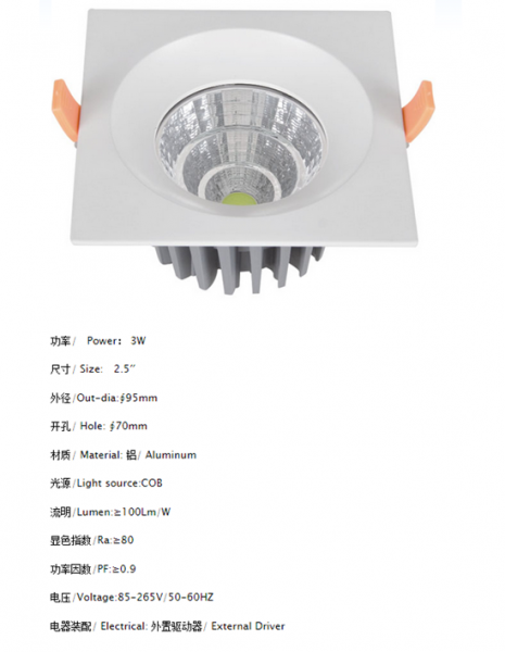 LED DownLighters