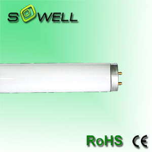 LED Tube Lights