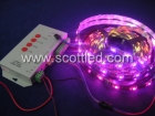 LED Strip Lights