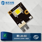 Flip Chip LED Module