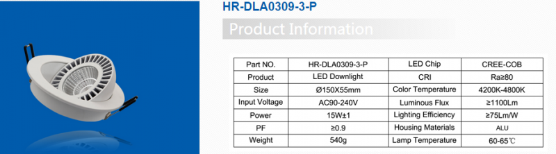 LED DownLighters