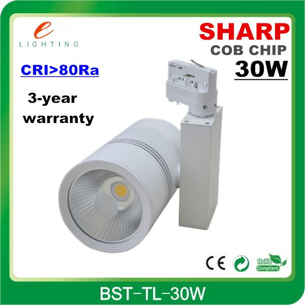 LED Track Light