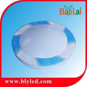 LED Ceiling Lamps