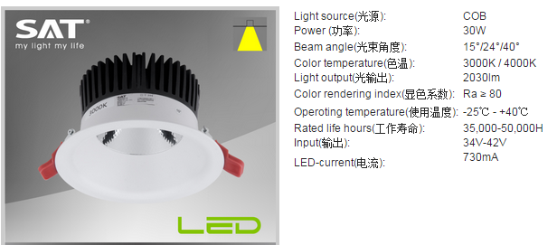 LED DownLighters