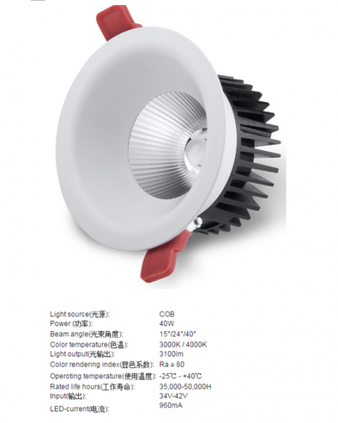 LED DownLighters