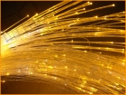 Fiber Optic Lights