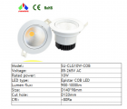 LED DownLighters