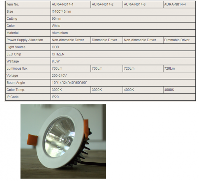 LED DownLighters