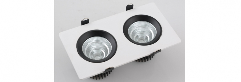 LED DownLighters