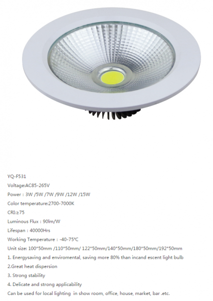 LED DownLighters