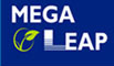 Shenzhen Megaleap Electronic Technology Co., Limited