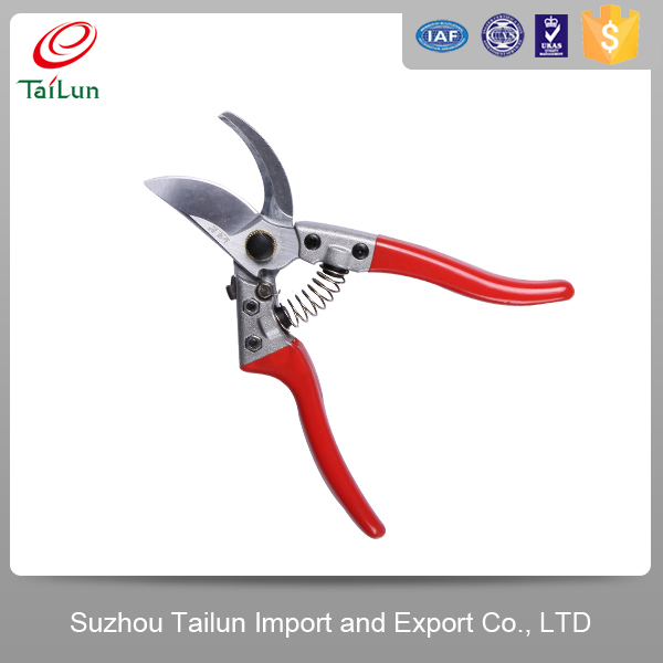 Pruning Shear