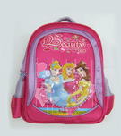 school  bag