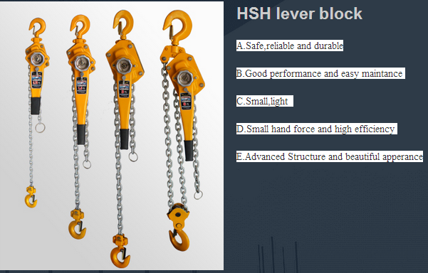 Lifting Hoist