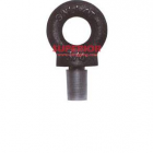 Eye Bolt