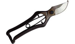 Pruning Shears