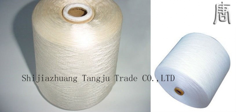 Polyester Yarn