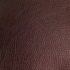 Synthetic Leather