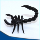 Glass Crafts