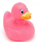 Pink Duck