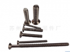 Machine Screw