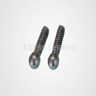 Stainless Steel Screw