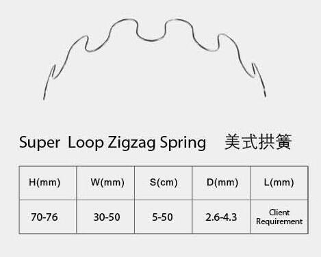 Zigzag Spring