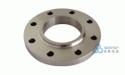 Flange