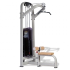 Lat Pull Down