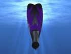 Swimming Fins